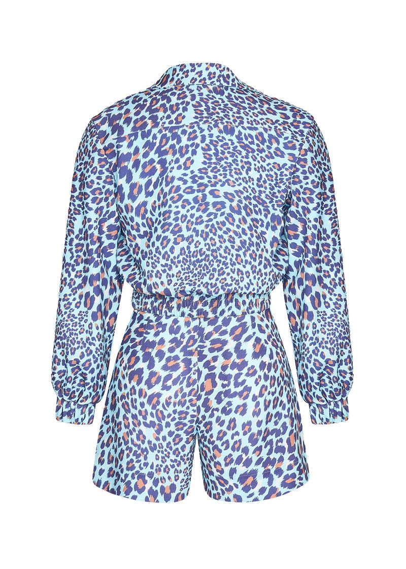 85-04-cj51015_2205_4